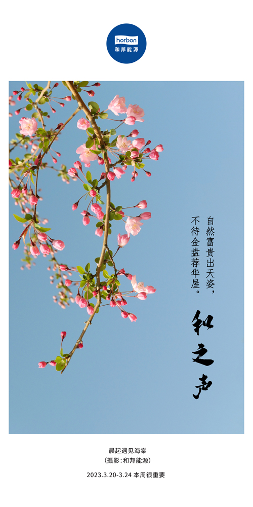 1680577238854280Xfna.jpg 74-和之声(本周很重要)2022.3季度推送用.jpg