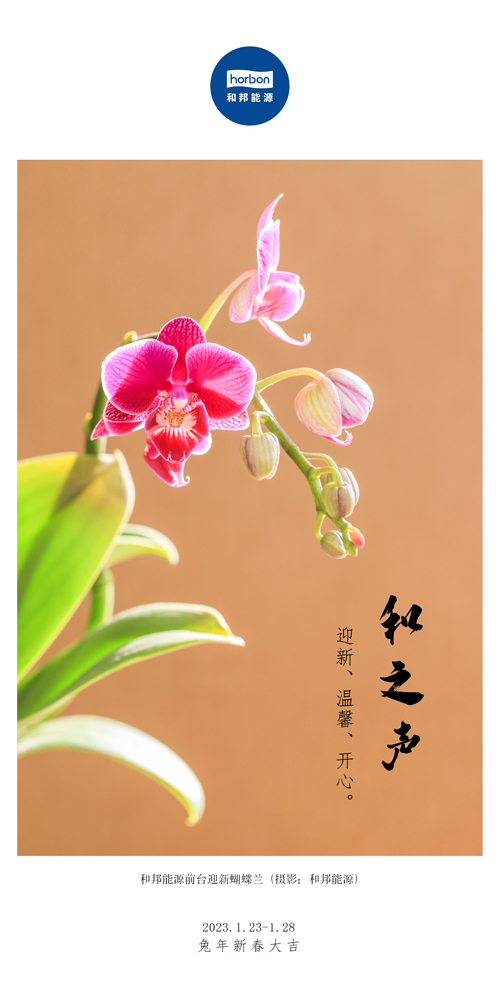 1680578329519821QJKG.jpg 66-和之声(本周很重要)2022.1中文季度推用.jpg