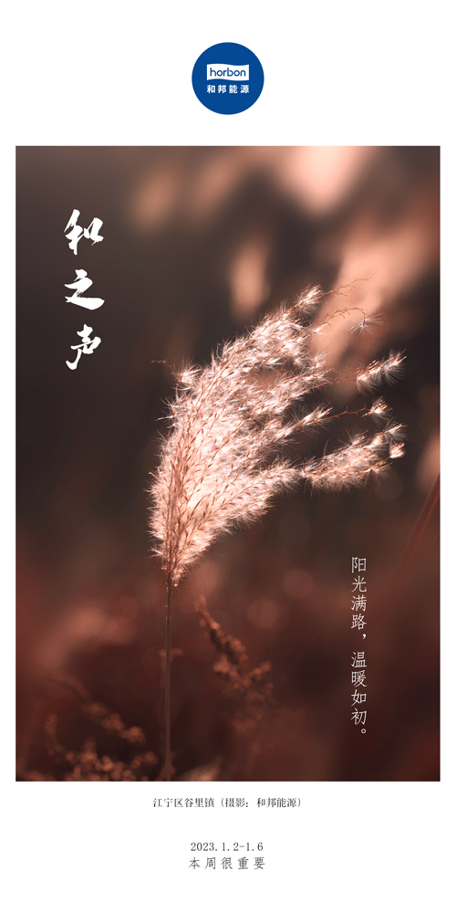1680578374108429sWS4.jpg 63-和之声(本周很重要)2022.1.2-1中文季度用.jpg