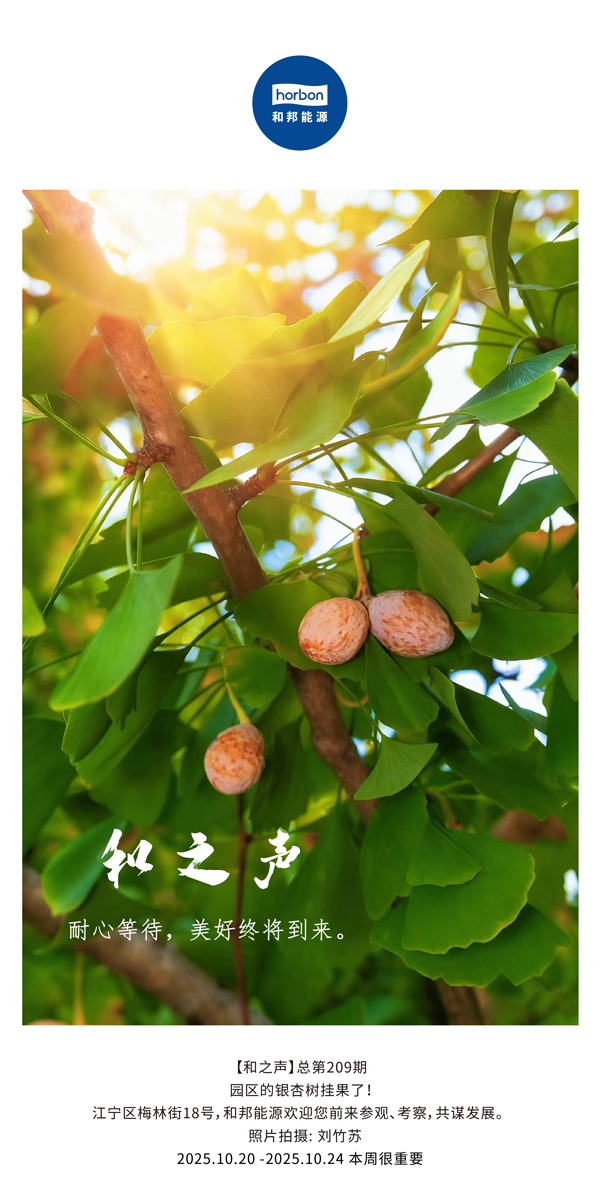 【和之声】耐心等待，美好终将到来。-(总第209期）2025.10.20中文导出季度推送用.jpg