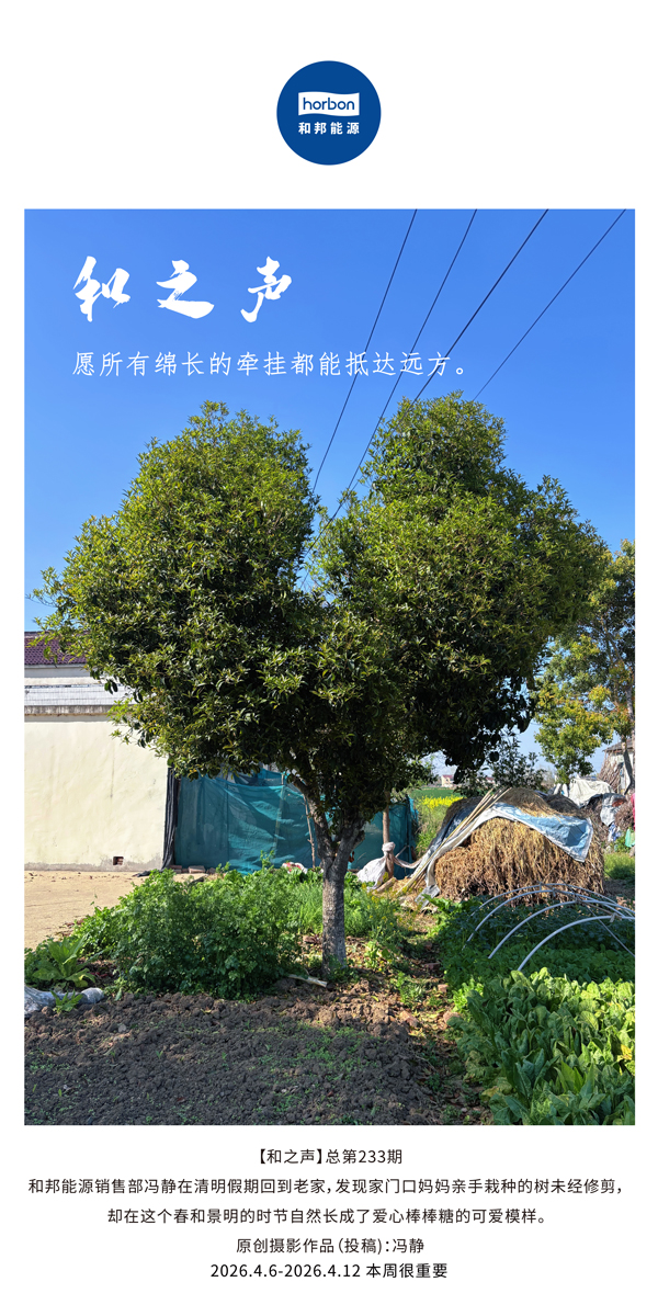 【和之声】愿所有绵长的牵挂都能抵达远方。(总第233期）-2026.4.6中文导出季度推送用.jpg